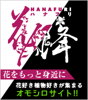 花と言えば「hanafuri」花好き植物好きが集まるオモシロサイト