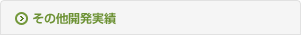 その他開発実績